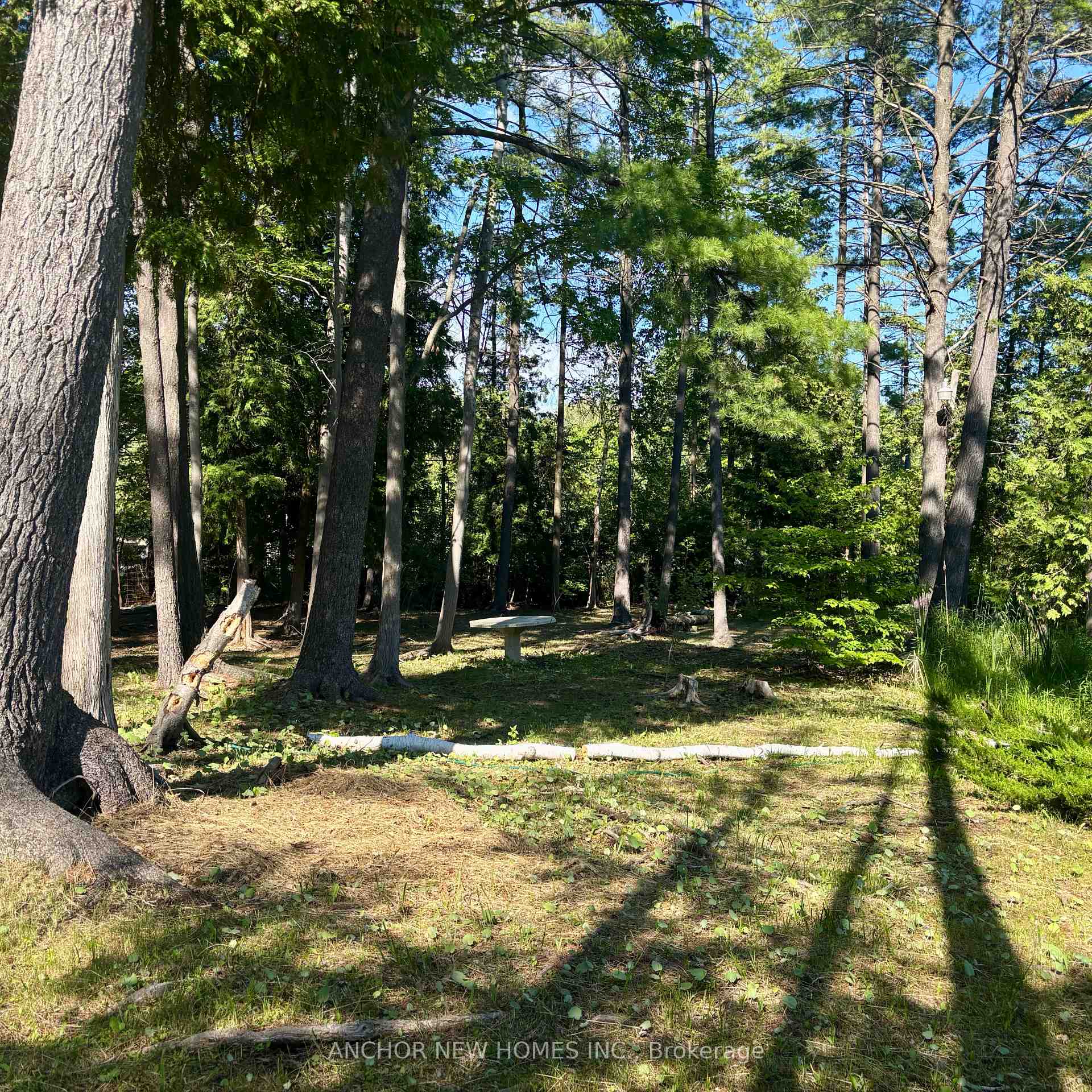 7024 Dieppe Road, Hamilton Township, ON K0L 1B0