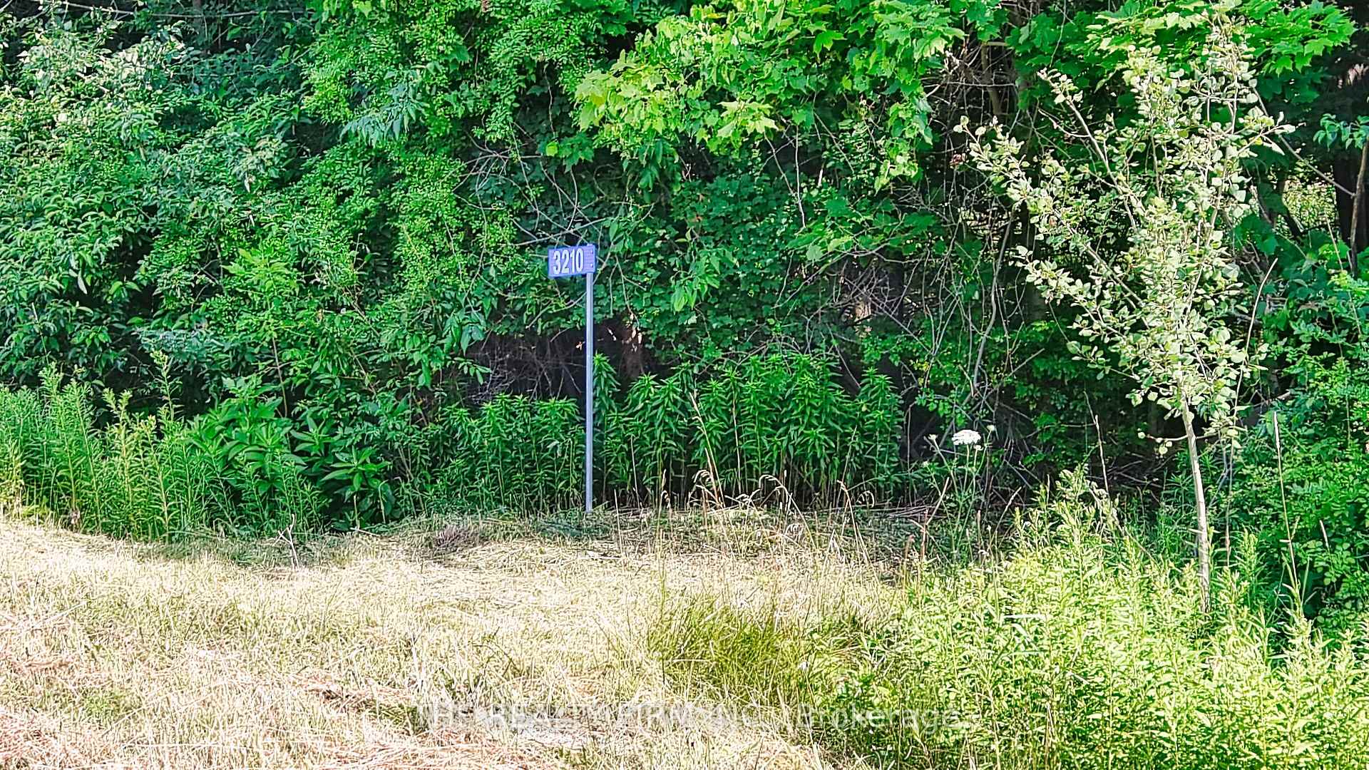 3210 Old Dexter Line, Central Elgin, ON N0L 2H0