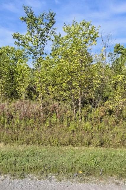 Lot 2 Montrose Road, Niagara Falls, ON L3B 5N7